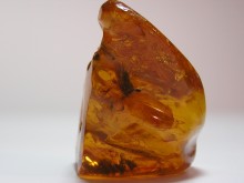 3 x 2 inch Amber Chunk with fly inside